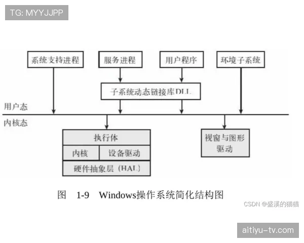 莱奥为何评价两极分化 核心成因深度解析